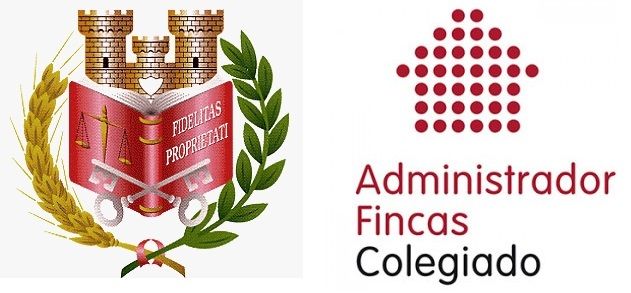 Administrador Colegiado 